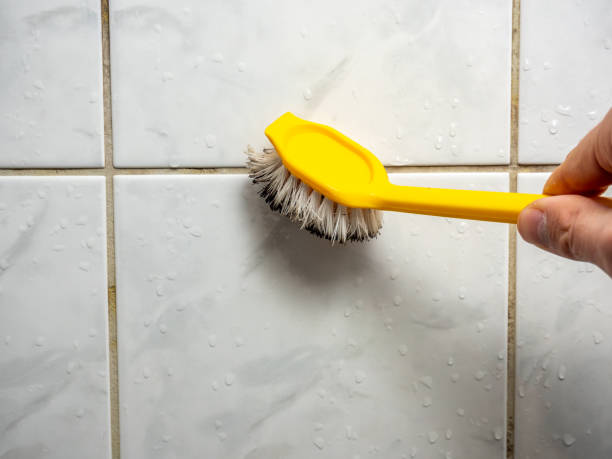 Best Commercial Mold Remediation in Endicott, NY