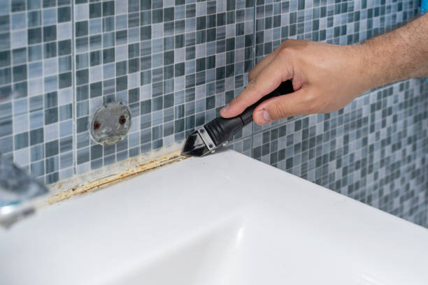 Best Mold Testing and Inspection Services in Endicott, NY